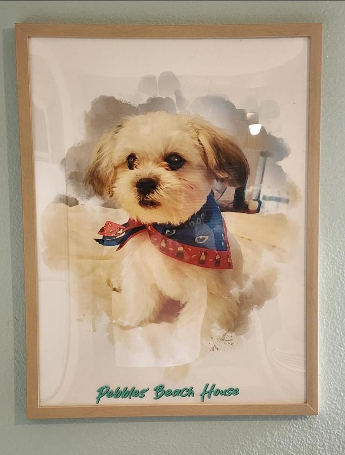 Pebbles' Beach House Эдинбург Экстерьер фото